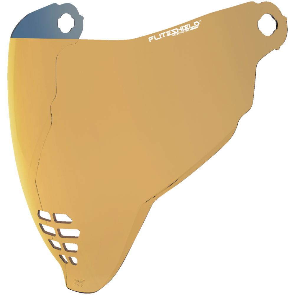 ICON FliteShield 22.06 Shield