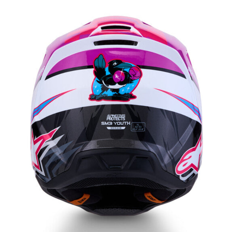 Alpinestars Youth SM3 Falcon Helmet (2027)