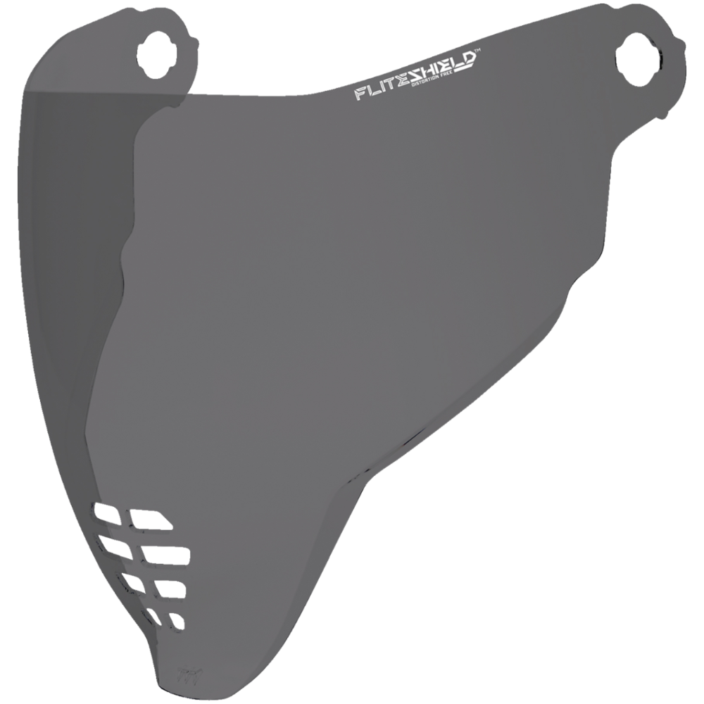 ICON FliteShield 22.06 Shield
