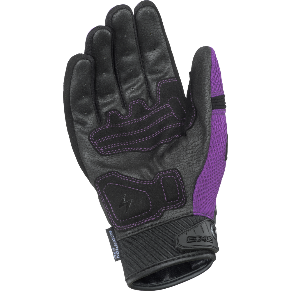Black and purple glove on a white background
